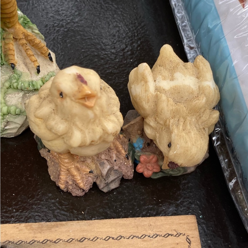 Baby hens